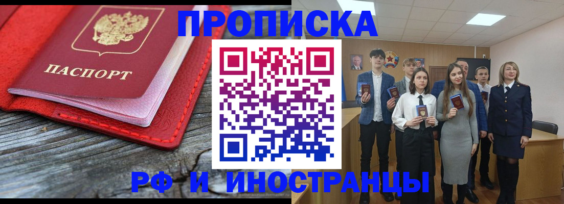 прописка 2025 в Сольцах