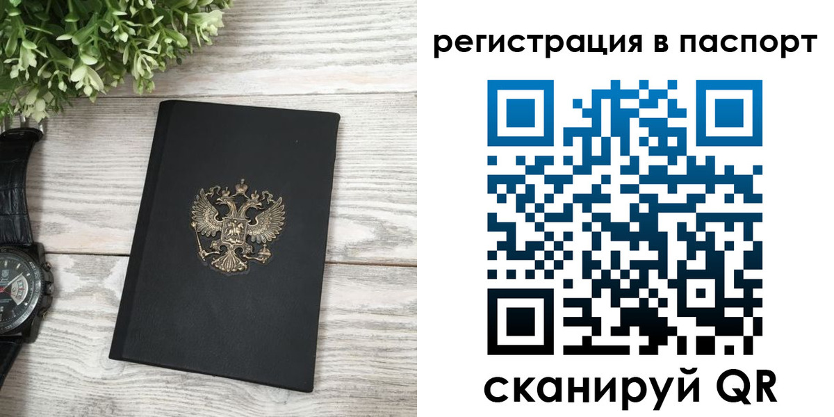 прописка в Сольцах